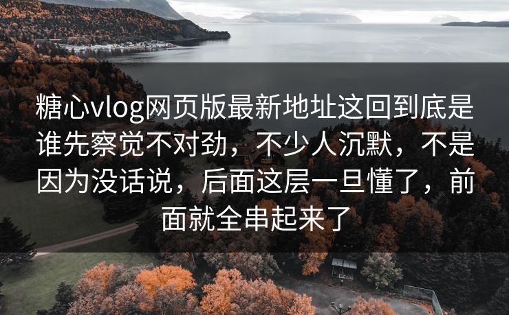 糖心vlog网页版最新地址这回到底是谁先察觉不对劲,不少人沉默,不是因为没话说,后面这层一旦懂了,前面就全串起来了