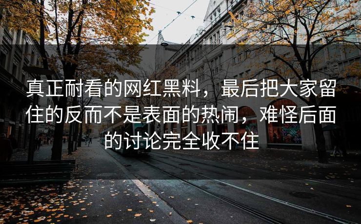 真正耐看的网红黑料,最后把大家留住的反而不是表面的热闹,难怪后面的讨论完全收不住