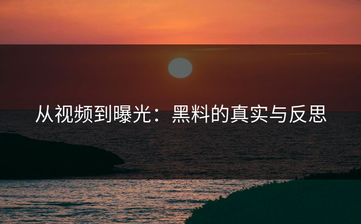 从视频到曝光：黑料的真实与反思