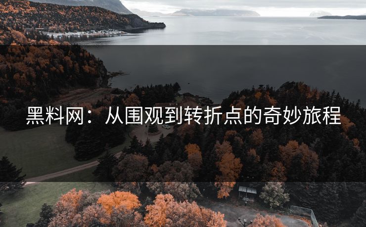 黑料网：从围观到转折点的奇妙旅程
