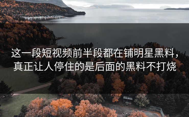 这一段短视频前半段都在铺明星黑料,真正让人停住的是后面的黑料不打烧 这一段短视频前半段都在铺明星黑料,真正让人停住的是后面的黑料不打烧