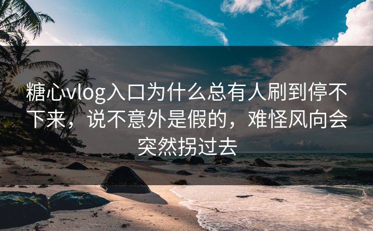 糖心vlog入口为什么总有人刷到停不下来,说不意外是假的,难怪风向会突然拐过去